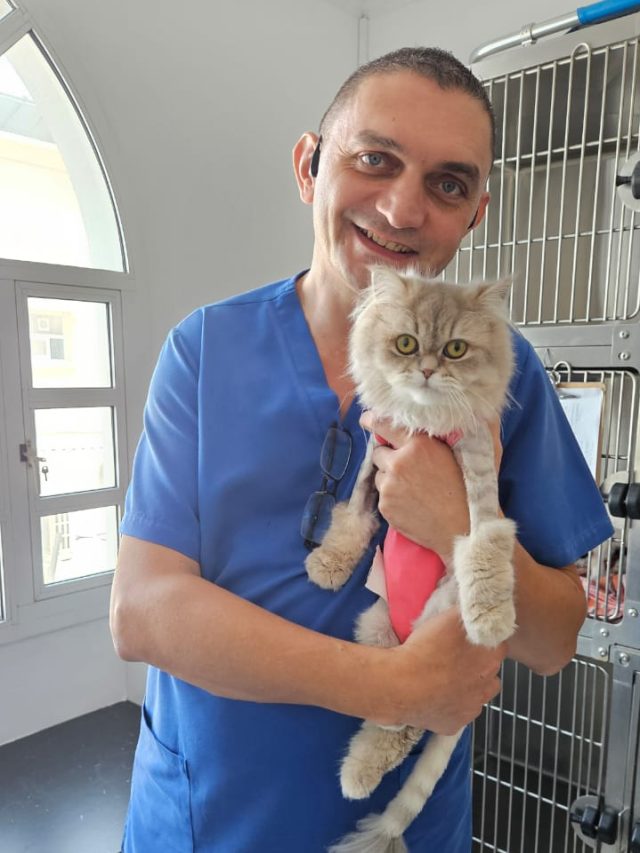 Cat berateral radical Mastectomy